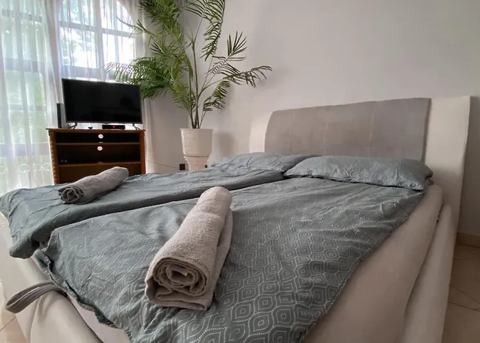 Omega Vendeghaz 게스트하우스 미슈콜츠